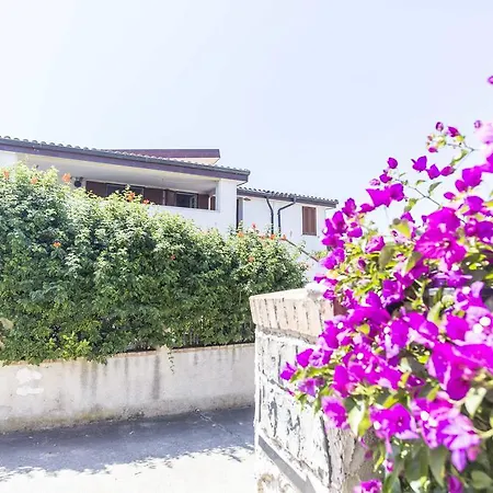 Apartament In Con Piscina - Tropea